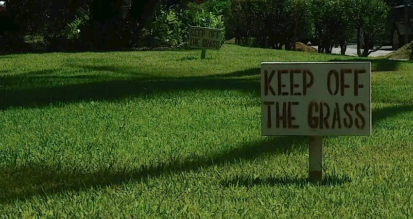 keep off the grass
