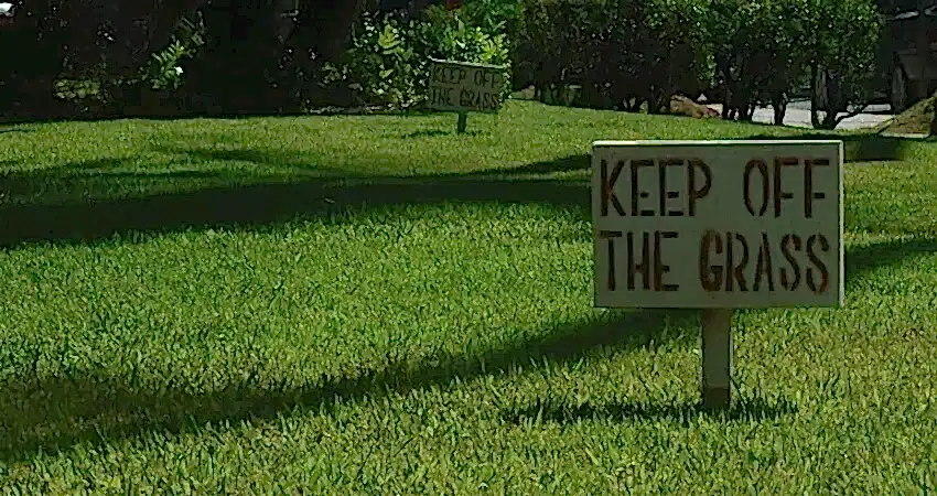 keep off grass