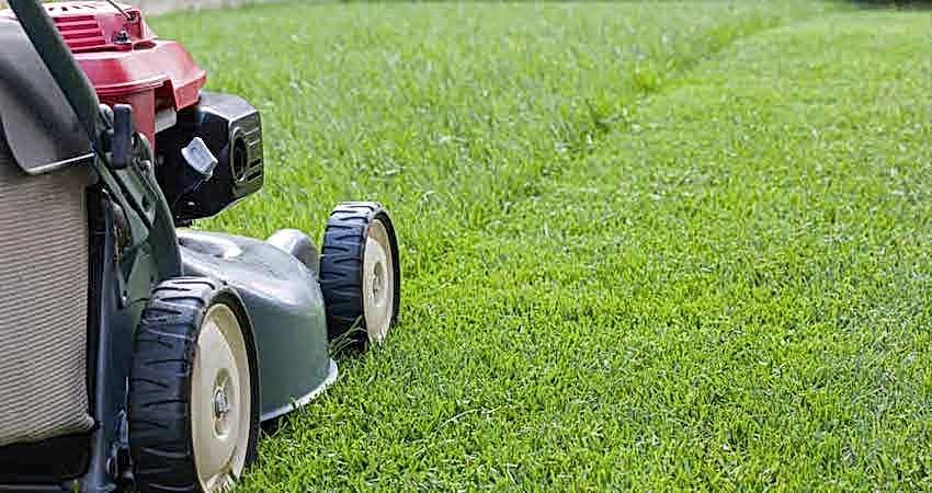 mowing