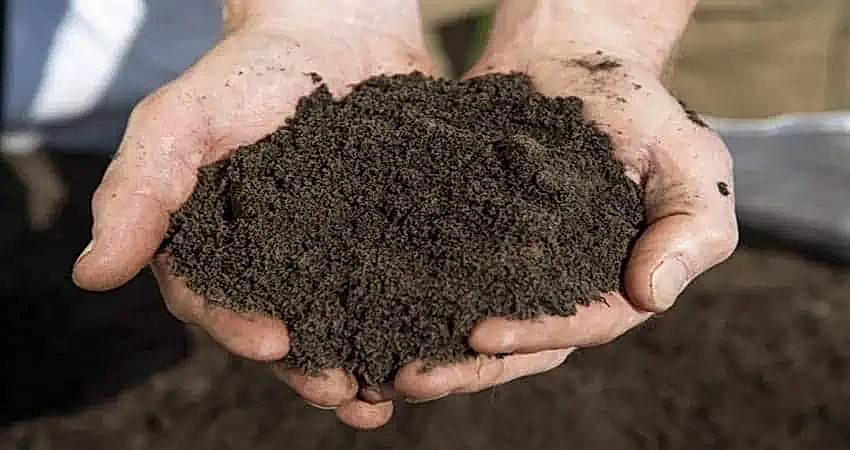 ground preparation
