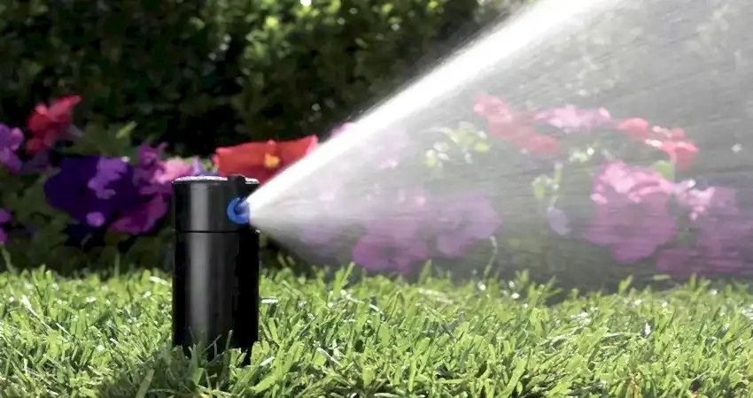 Hunter pop up irrigation
