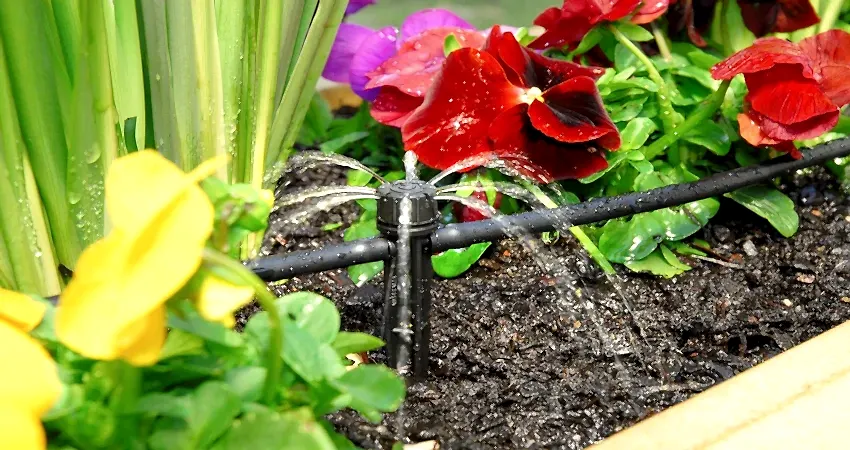 Shrubbler sprinkler